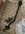 2ADE98F1-987A-4269-A31D-2AE10AA18816.jpeg