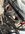D569A88D-35A4-4C25-BAD4-65577E7B9553.jpeg