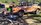 IMG_20221029_155250.jpg