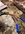 image2 (1).jpeg