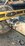 28EF6ED1-E392-4EB7-8259-D52F82C922F3.jpeg