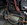 starter_a88b0ac2aefa0707edc4a188172be6bd72a81ce3.jpg