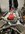 E2B8B84F-57D9-4D1A-821D-5F19276965DB.jpeg
