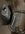 72E589FC-71E1-42C9-92FA-597FCAD01D73.jpeg