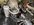 A110696F-A431-421A-8483-7907E0777481.jpeg