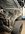 F3326336-A3C6-4B6B-B202-6659B986B7D9.jpeg