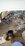 B15C2D2E-775C-45D9-AF68-662F106B28B2.jpeg