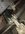 9BB96ADA-9CA6-452E-A24C-01B2F453CCD5.jpeg