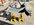 CDEF7557-0AA1-498F-B1C5-CAB769CC2C36.jpeg