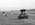 D38BCBAD-2EDE-4162-A2F3-AC04F70E5708.jpeg