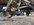D5B089DD-894E-4793-AE87-252ED3FE0AE7.jpeg