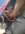 IMG_20230116_125141344~2.jpg