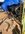 F12C0CE7-8A78-489C-9E34-9474B41D697F.jpeg