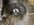 688DE373-486C-4076-87F4-20D848BD26FC.jpeg