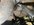 B8221F63-865B-452F-9399-03F7EC128807.jpeg