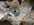 A71055D1-3D81-49AA-909F-483C6293C9E1.jpeg