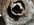 7680853E-10E7-4EA8-8F6C-8080F24ABC39.jpeg