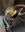 IMG_0012.jpeg