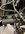 DDEB2E32-D3AD-470B-8DE1-47E89F90B388.jpeg