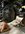 A902818C-1BC2-4726-8036-F8EE82D22F93.jpeg