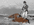 1675264247815.gif