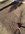 953B717B-1344-444C-A7B2-4FD7CA1FC488.jpeg