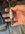 IMG_0076.jpeg