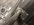 D212FDD9-AE81-463B-8DDE-04097CC5B7C5.jpeg