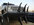 2D0B3EDB-594A-40C9-A032-8F08B7CE2B48.jpeg