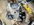746F5461-DFDA-4774-AFC7-D2CC24924AE6.jpeg