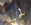 IMG_20230212_085755314~2.jpg