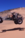 IMG_4237.PNG