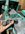 1C82662A-8AB0-4BDA-ADCD-BC4986AB323E.jpeg