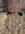 38D2443F-DDE6-4942-AAA3-8A593599923B.jpeg