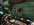 AB23DA6A-72AB-45DC-BDB1-3387CDEC2692.jpeg