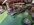 E1BE305F-9721-4F84-8066-C8978C7FD515.jpeg