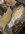 74AE5358-8D88-4DF4-BE4A-81B05198E4DD.jpeg