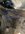 D3F9E4C5-E08A-4C81-8956-4580DB1311AD.jpeg