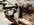 49E089FB-AE70-485A-A748-D84CE4838833.jpeg