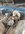 8D7AF301-40A4-406C-9B11-CF61C06AC027.jpeg