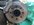 D7B85F26-B570-4F8E-9A1F-3A8D8DC5C949.jpeg