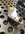 AEA68650-5003-4DD0-BD14-6751CF937D45.jpeg