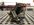 3D72CA43-9E18-46F0-96FC-2D0ADA78309C.jpeg