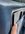 244D20D4-604F-4313-97DD-E53DBFB3FA13.jpeg