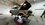 IMG_3153.JPEG