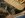 DSCN4776.JPG