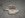 videos 018.jpg