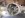DSCN4881.JPG