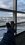 52AC9F75-2ABA-4465-A52D-C28988C8A379.jpeg