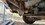 0A4691B9-FFE0-4D4C-B1A2-E37B6263623E.jpeg